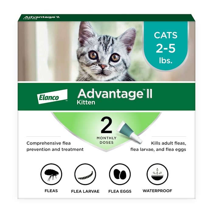 UPC 724089114167 product image for Advantage II Vet-Recommended Flea Treatment & Prevention for Kittens, Count of 2 | upcitemdb.com
