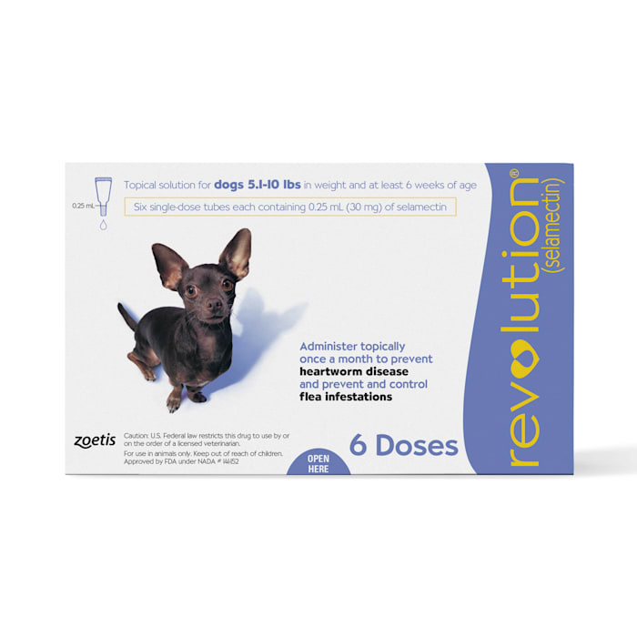 Photos - Dog Medicines & Vitamins Revolution Topical Solution for Dogs 5.1-10 lbs, 6 Month Supply 