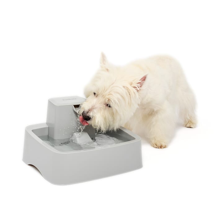 Photos - Pet Bowl PetSafe Drinkwell 1 Gallon Pet Fountain, Small 