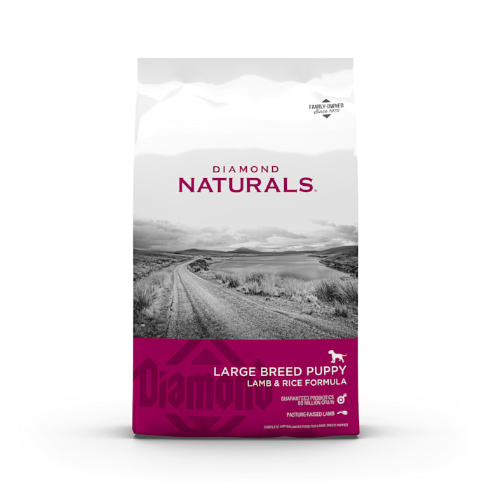 UPC 074198608362 product image for Diamond Naturals Large Breed Lamb Flavor Dry Puppy Food, 20 lbs. | upcitemdb.com