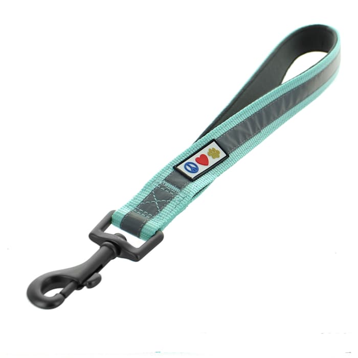 Pawtitas Reflective Training Padded Handle Short Leash, Teal, 1 ft. Long, 1 in. Wide, Blue, Large