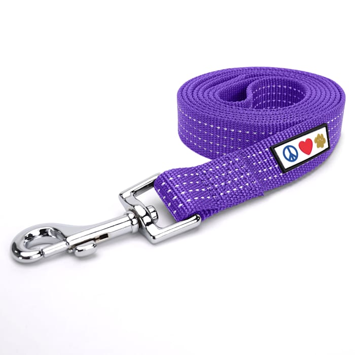 Pawtitas Reflective Dog Leash, Purple, 6 ft. Long, 0.63 in. Wide, XS/S