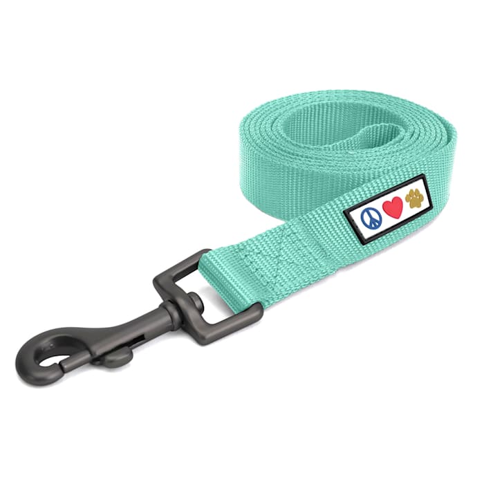 Pawtitas Solid Dog Leash, Teal, 6 ft. Long, 0.63 in. Wide, Blue, Small