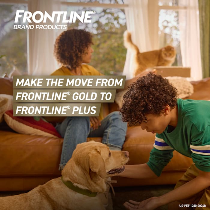 (PACK OF 2  PP 20631 ) FRONTLINE® Gold for Cats Flea & Tick Spot Treatment, 6ct