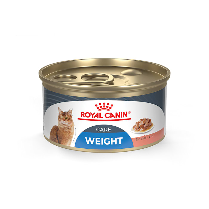 UPC 030111604446 product image for Royal Canin Feline Weight Care Thin Slices in Gravy Canned Adult Wet Cat Food, 3 | upcitemdb.com