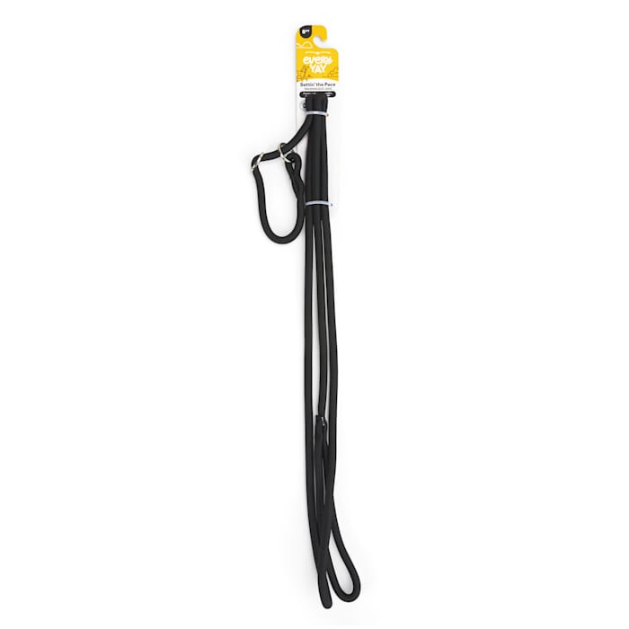 EveryYay Settin' the Pace Training Rope Slip Leash for Dogs, Black, 6-ft long, 5/16-in wide