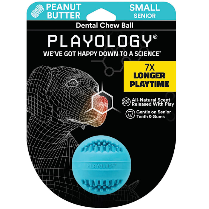 Playology Senior Dental Chew Ball Peanut Butter Dog Toy, Small