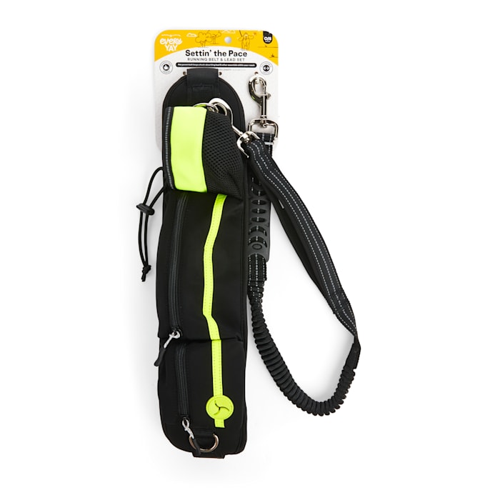 EveryYay Settin' the Pace Running Belt & Leash Set for Dogs, Yellow, 34-in long, 1.5-in wide