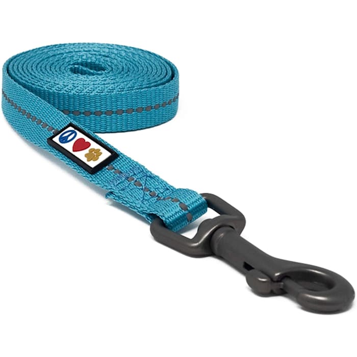 Pawtitas Recycled Reflective Dog Leash, Teal, 6 ft. Long, 0.63 in. Wide, Blue, Small