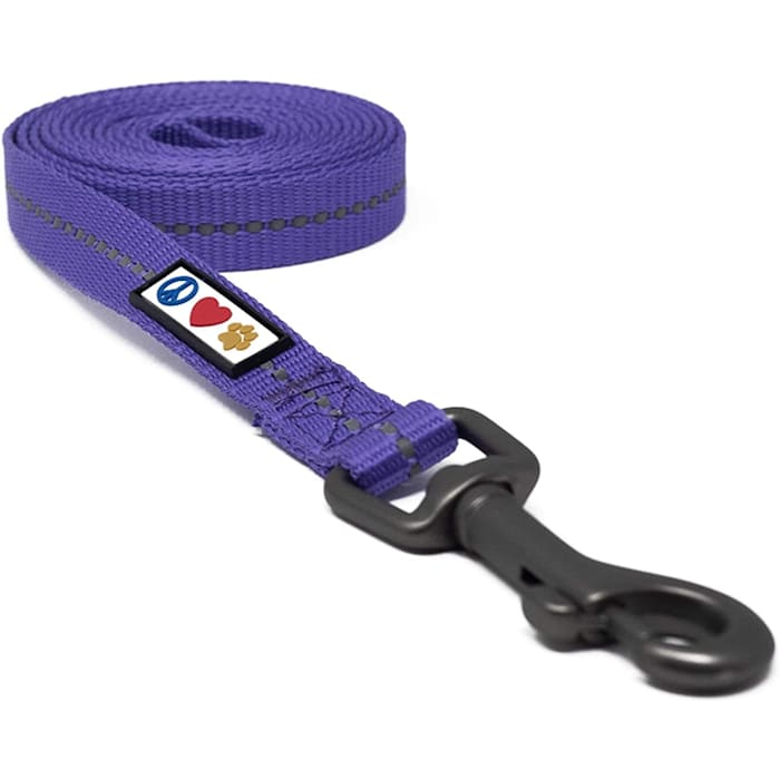 Pawtitas Recycled Reflective Dog Leash, Purple, 6 ft. Long, 0.63 in. Wide, Small