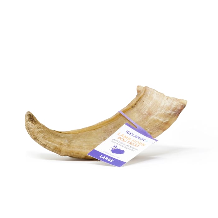 UPC 861616000231 product image for Icelandic+ Large Lamb Horn Dog Treats, 7.3 oz. | upcitemdb.com