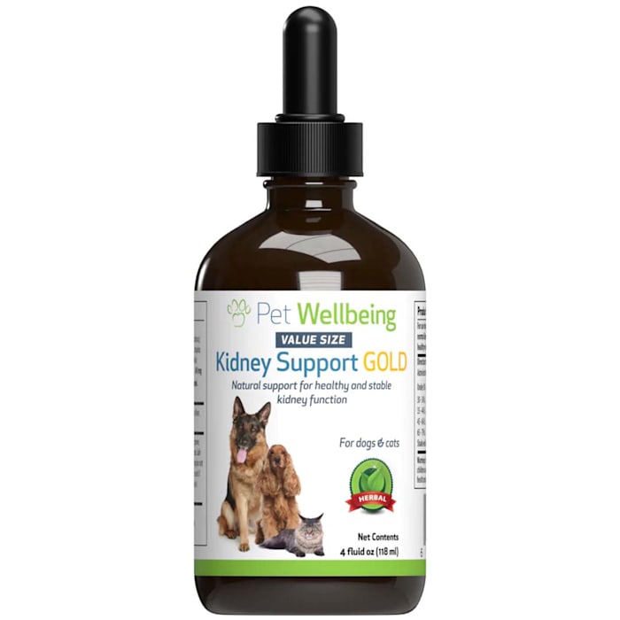 Pet Wellbeing Gold Natural Kidney Support Supplement for Dogs, 4 fl. oz