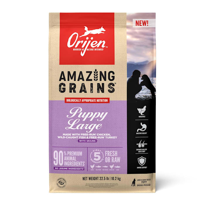 UPC 064992720377 product image for ORIJEN High Protein, Amazing Grains Large Breed Dry Puppy Food, 22.5 lbs. | upcitemdb.com