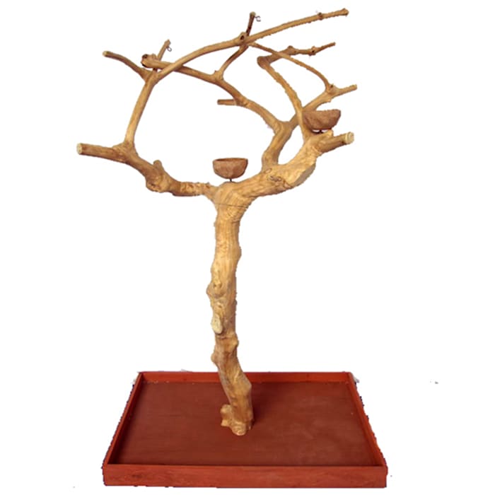 UPC 644472111187 product image for A&E Cage Company Small Java Wood Boxed Tree, 40