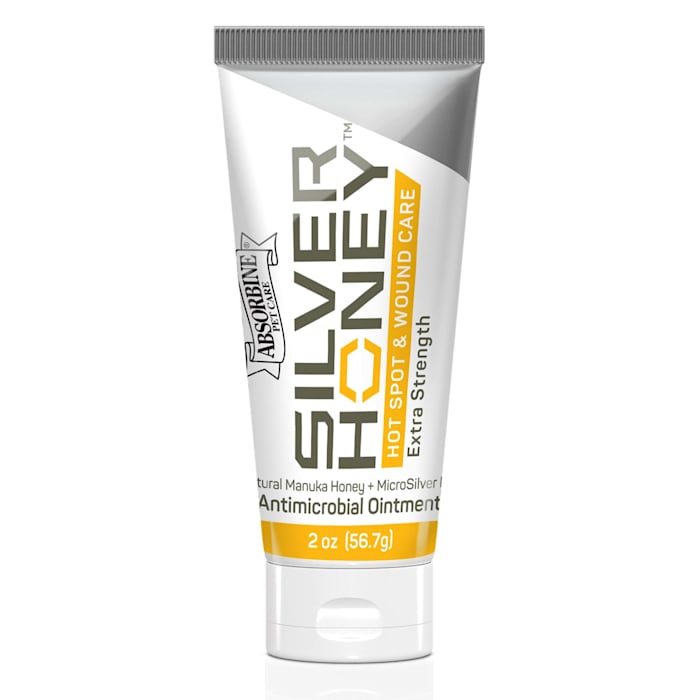UPC 011444450023 product image for Silver Honey Hot Spot & Wound Care Ointment for Dogs, 2 oz. | upcitemdb.com