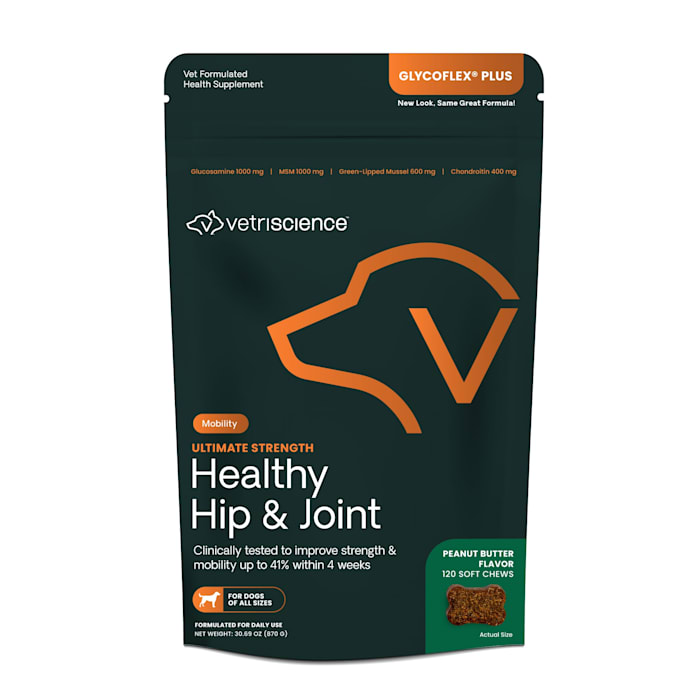 VetriScience GlycoFlex Plus Joint Support Bite-Sized Peanut Butter Flavor Dog Chews, Count of 120