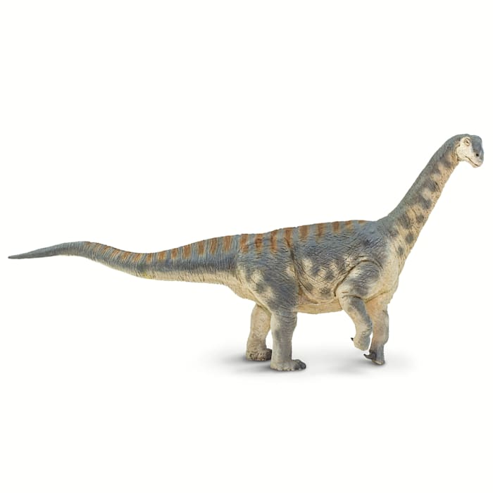 Photos - Other Pet Supplies Safari Ltd Camarasaurus Toy Figure 