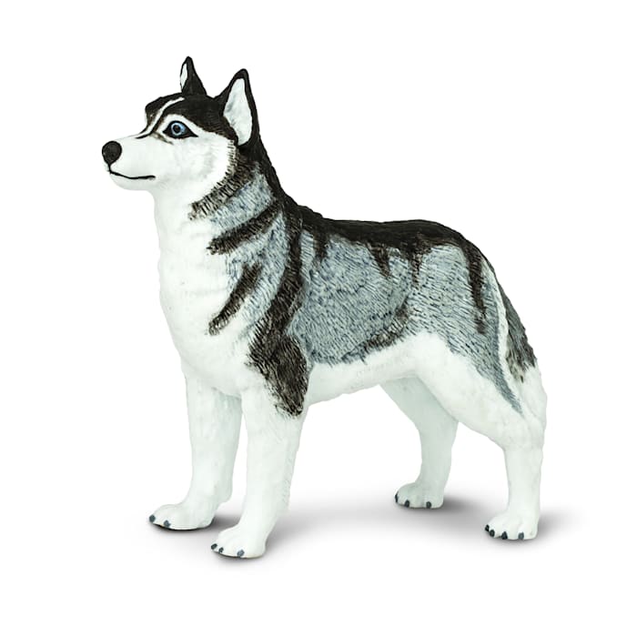 UPC 095866001148 product image for Safari Ltd Siberian Husky Toy Figure | upcitemdb.com