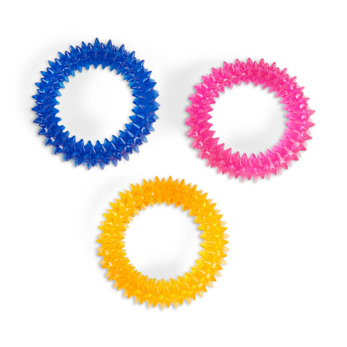 Leaps & Bounds Spiny Ring Assortment Dog Chew Toy, Small
