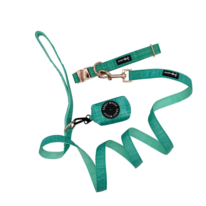 Sassy Woof 3 Piece Dog Bundle with Matching Collar, Leash, and Waste Bag Holder, Teal, Green, Small