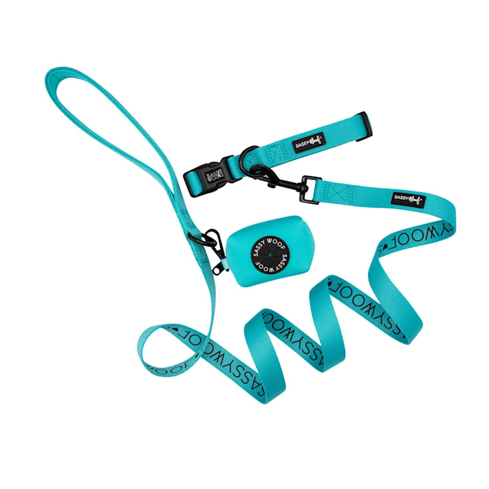 Sassy Woof 3 Piece Dog Bundle with Matching Collar, Leash, and Waste Bag Holder, Neon Blue, Medium