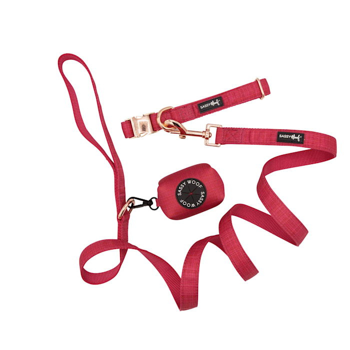 Sassy Woof 3 Piece Dog Bundle with Matching Collar, Leash, and Waste Bag Holder, Merlot, Red, Large