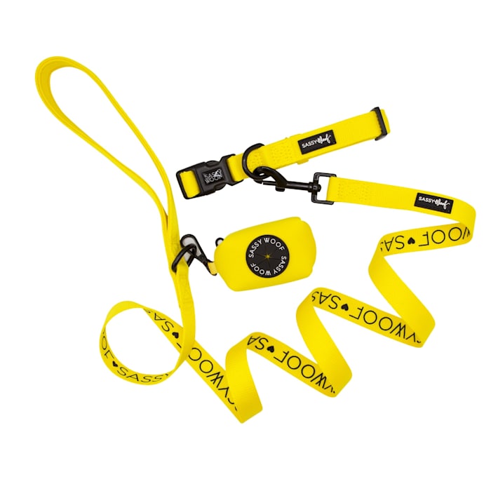 Sassy Woof 3 Piece Dog Bundle with Matching Collar, Leash, and Waste Bag Holder, Neon Yellow, Large