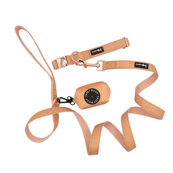 Sassy Woof 3 Piece Dog Bundle with Matching Collar, Leash, and Waste Bag Holder, Apple Cider, Orange, Medium