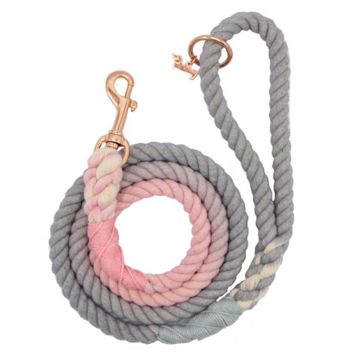 Sassy Woof Rope Dog Leash, Daydream, 5 ft. Long, 1 in. Wide