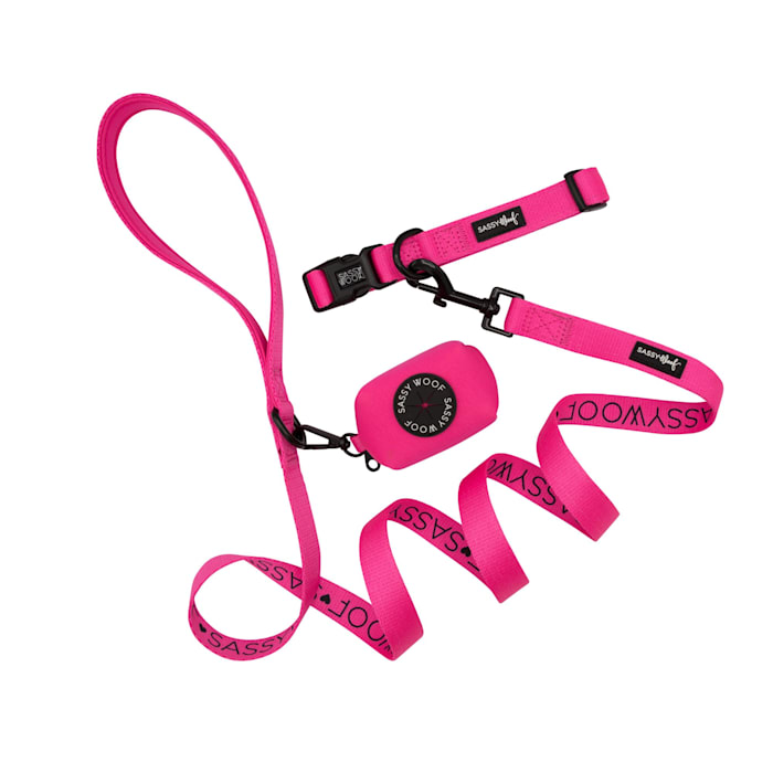 Sassy Woof 3 Piece Dog Bundle with Matching Collar, Leash, and Waste Bag Holder, Neon Pink, Large