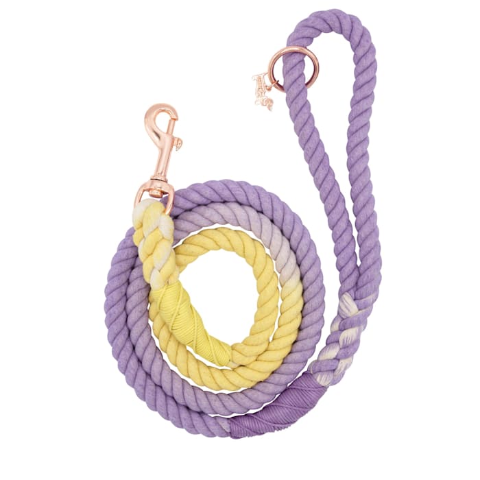 Sassy Woof Rope Dog Leash, Dukes, 5 ft. Long, 1 in. Wide