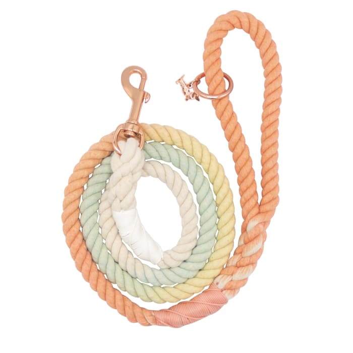 Sassy Woof Rope Dog Leash, Honeydew, 5 ft. Long, 1 in. Wide