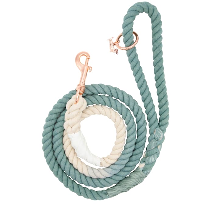 Sassy Woof Rope Dog Leash, Dandy, 5 ft. Long, 1 in. Wide
