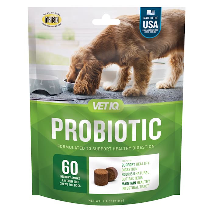 Photos - Dog Medicines & Vitamins Vetiq VetIQ Digestive Hickory Smoke Soft Chew for Dogs, 7.4 oz., Count of 60