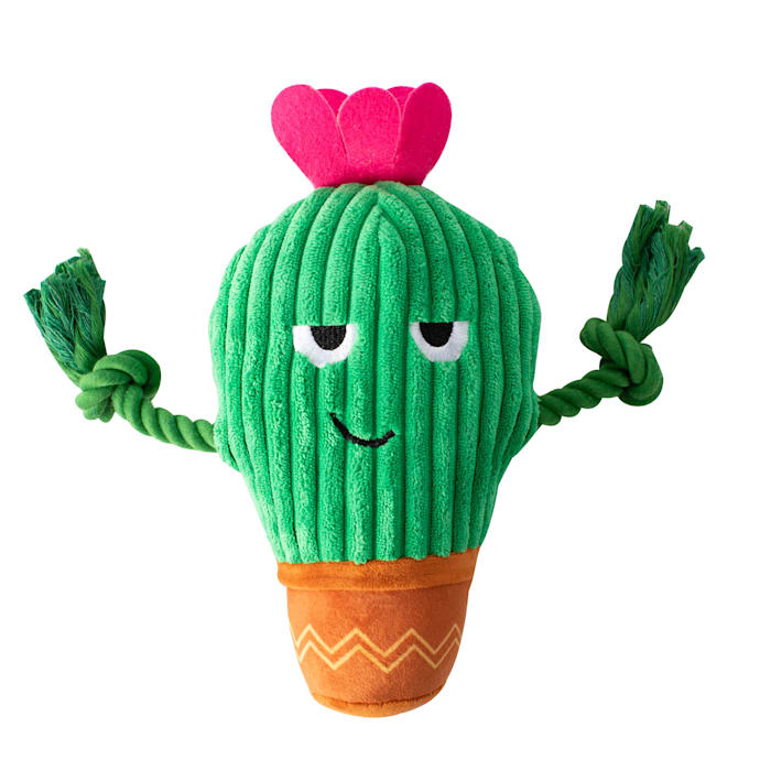 PetShop by Fringe Studio You Grow Chica! Plush Dog Toy, Large