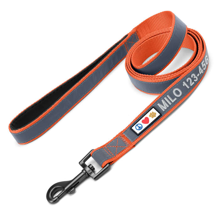 Pawtitas Personalized Padded Dog Leash, Orange, 6 ft. Long, 1 in. Wide, Large
