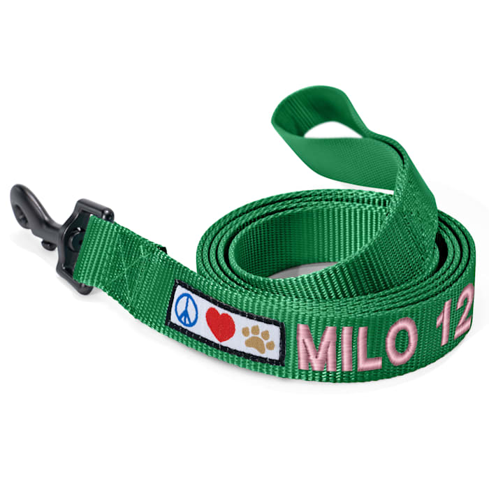 Pawtitas Personalized Reflective Dog Leash, Lush Green, 6 ft. Long, 1 in. Wide, Large
