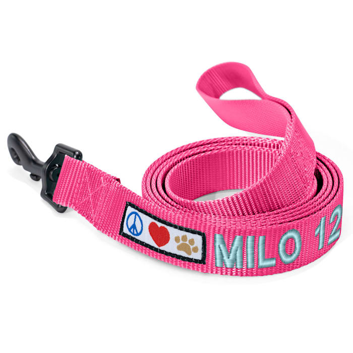 Pawtitas Solid Personalized Dog Leash, Pink, 6 ft. Long, 0.38 in. Wide, XS