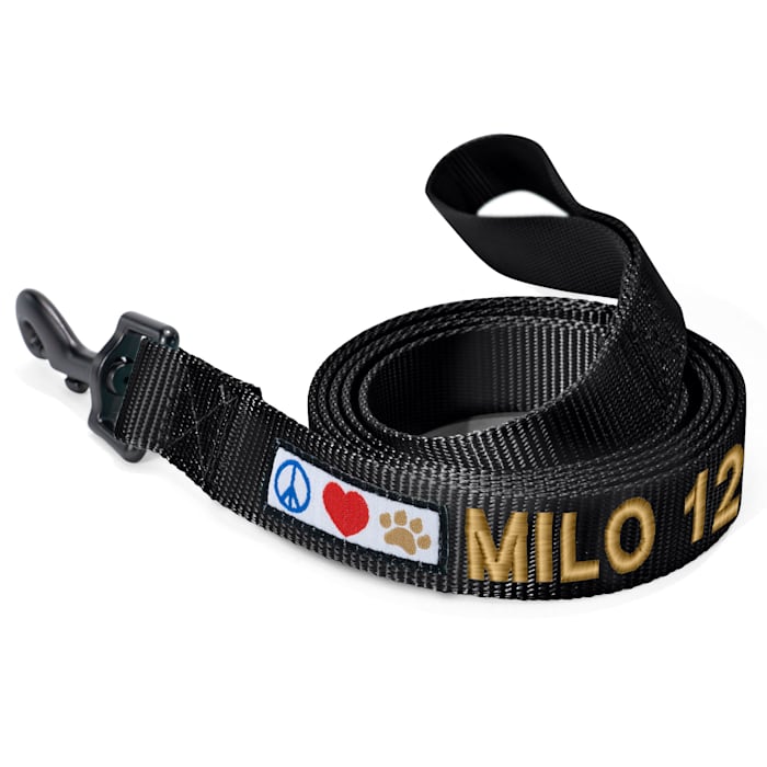 Pawtitas Solid Personalized Dog Leash, Black, 6 ft. Long, 1 in. Wide, Large
