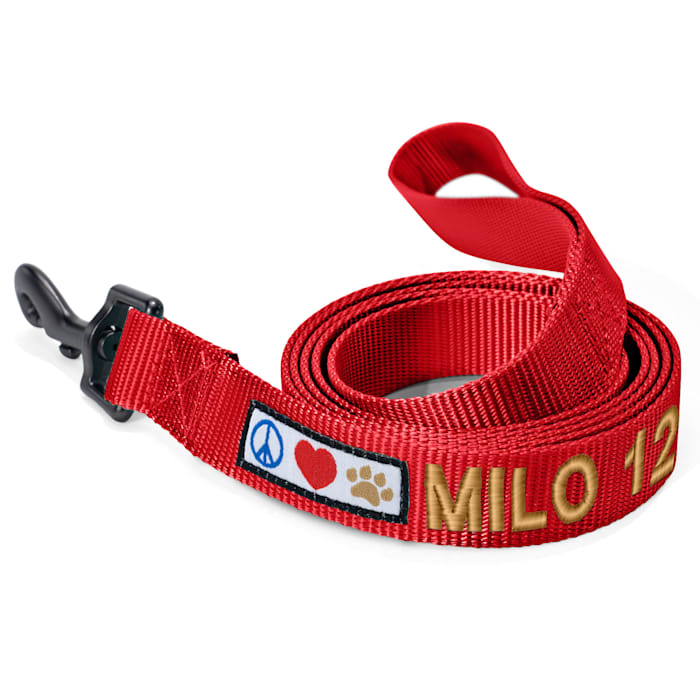 Pawtitas Solid Personalized Dog Leash, Red, 6 ft. Long, 1 in. Wide, Large