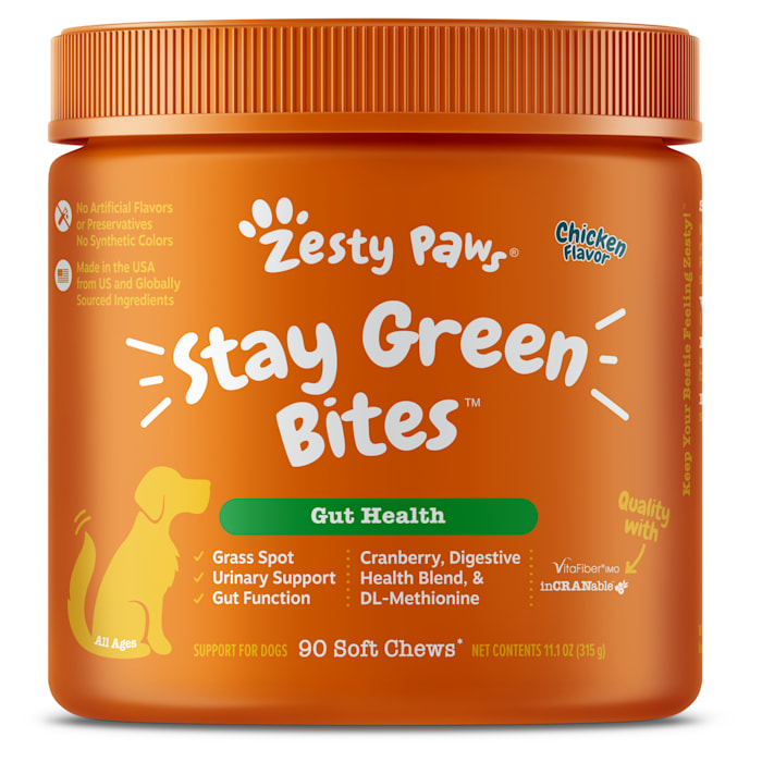 Photos - Dog Medicines & Vitamins Zesty Paws Chicken Stay Green Bites Soft Chews for Dogs, 11.1 oz., Count of 90 