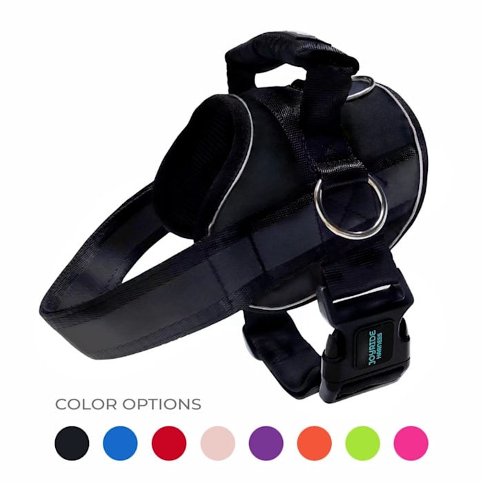 Joyride Harness Premium Advanced Dog Harness 2.0, Black Onyx, Large