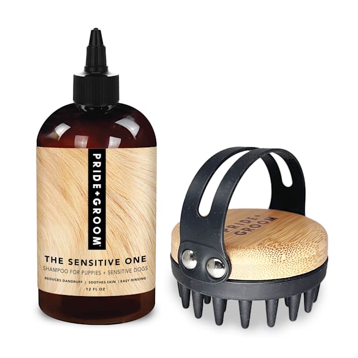 Pride+Groom Sensitive & Bath Brush Set, Medium
