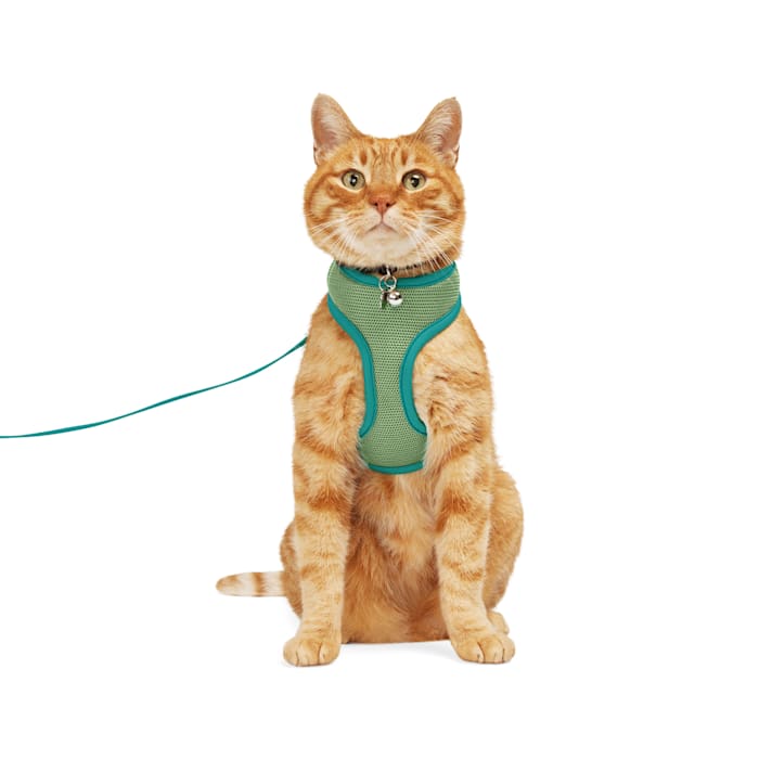 YOULY Updated Mesh Cat Harness & Leash Set, Green, Small/Medium