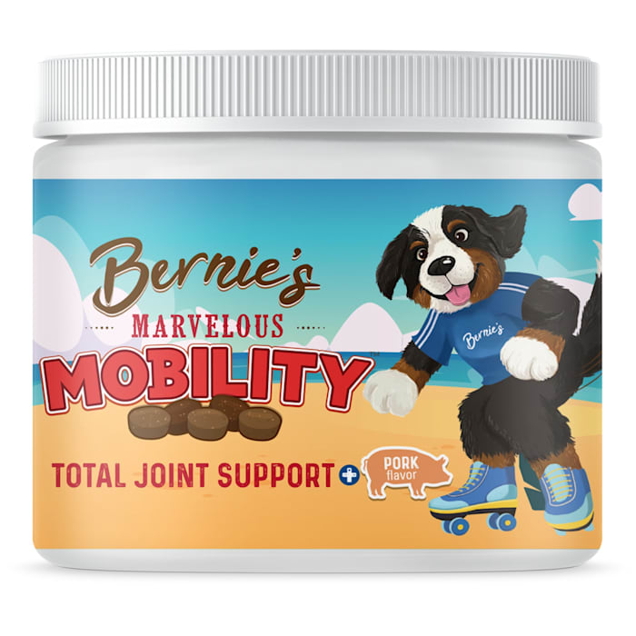 Bernie's Marvelous Mobility Daily Total Joint Support for Dogs, Count of 90