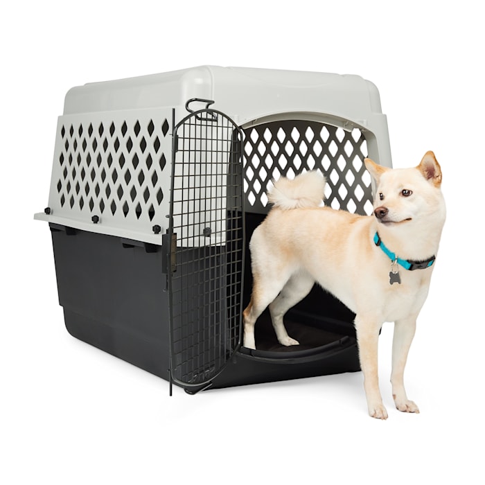 EveryYay Portable Plastic Pet Kennel, 36" L X 25" W X 27" H, Grey, Medium