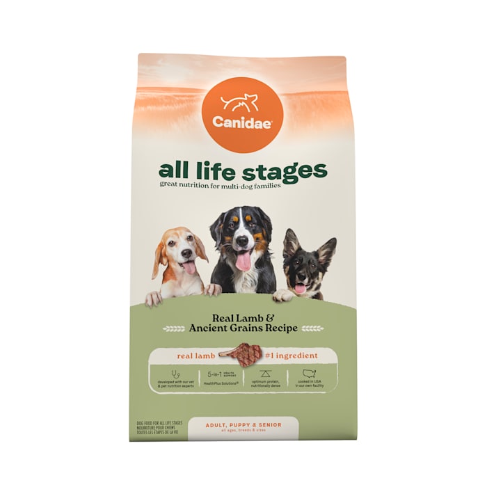 UPC 640461003129 product image for Canidae All Life Stages Real Lamb & Ancient Grains Recipe Dry Dog Food, 27 lbs. | upcitemdb.com