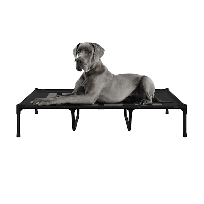 Pet Adobe Elevated Dog Bed, 48" L X 36" W X 9" H, Black, XL