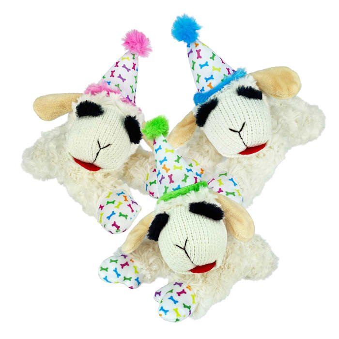 Multipet International Lamb Chop Birthday Assorted Dog Toy, Medium