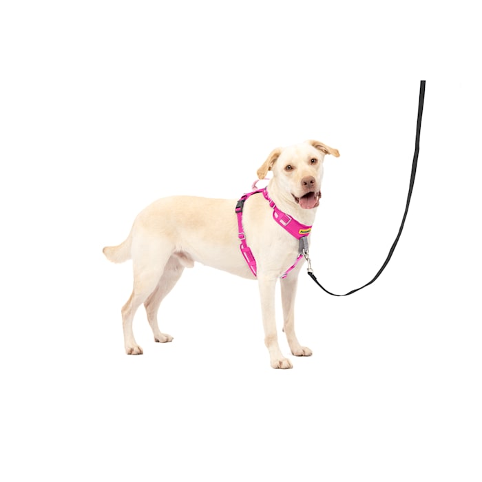 PetSafe Easy Walk Comfort No-Pull Dog Harness, Large, Pink